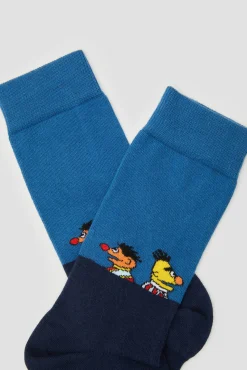 Calcetines altos Besocks de Barrio Sésamo de algodón orgánico color azul