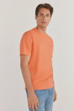 Camiseta básica