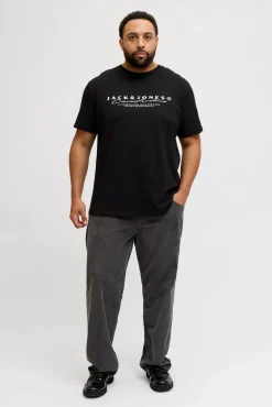Camiseta básica estampado frontal
