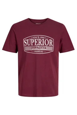 Camiseta estampado frontal