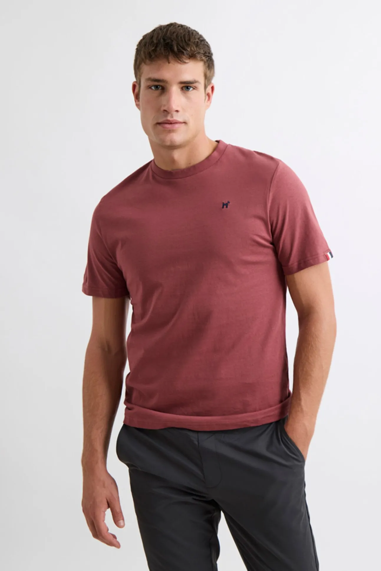 Camiseta Insignia