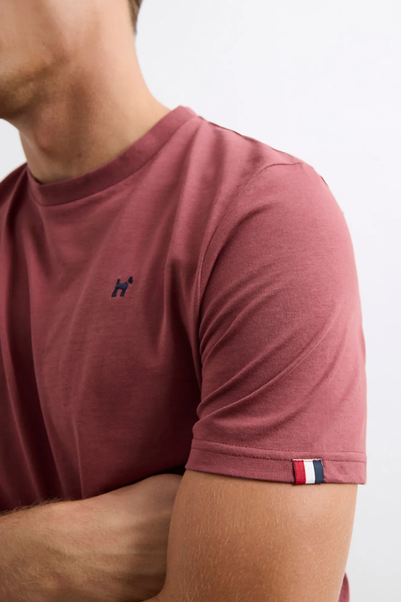 Camiseta Insignia