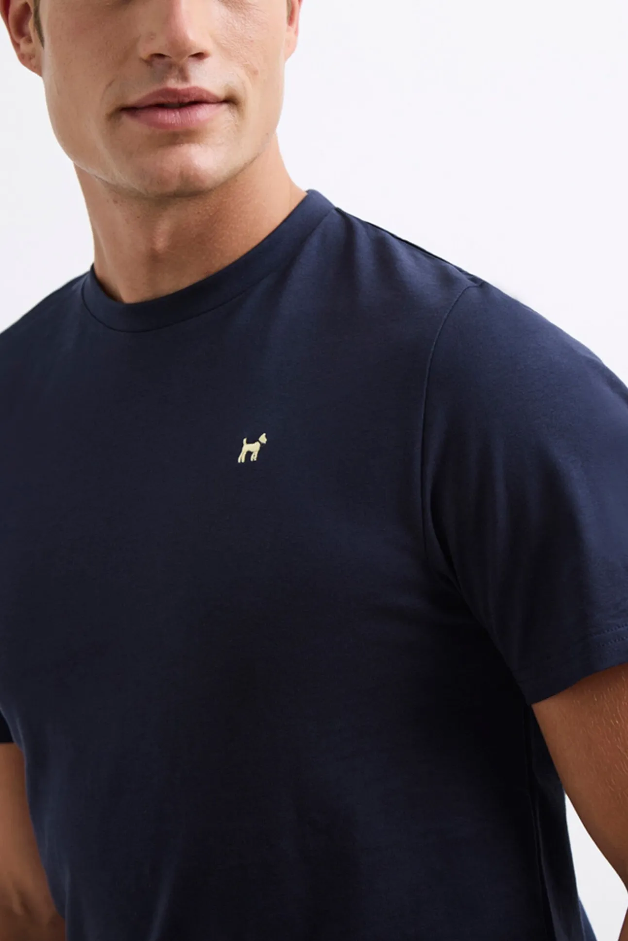 Camiseta Insignia