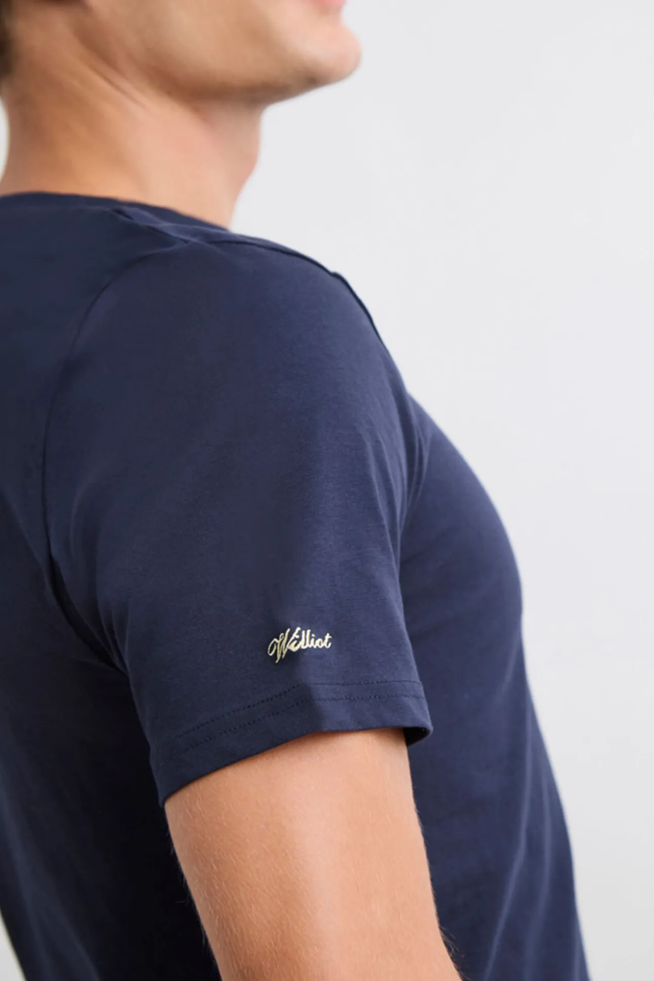 Camiseta Insignia
