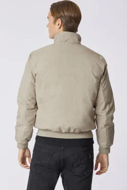 Cazadora bomber Chad