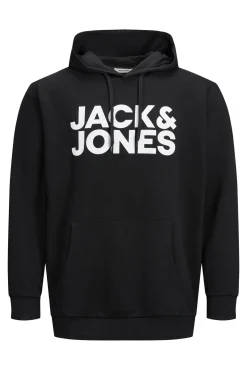 Sudadera capucha print logo PLUS