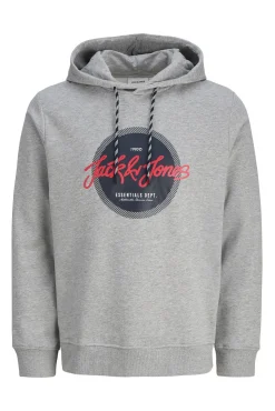 Sudadera logo con capucha