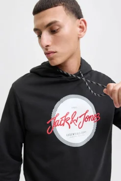 Sudadera logo con capucha