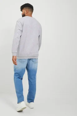 Sudadera regular fit PLUS